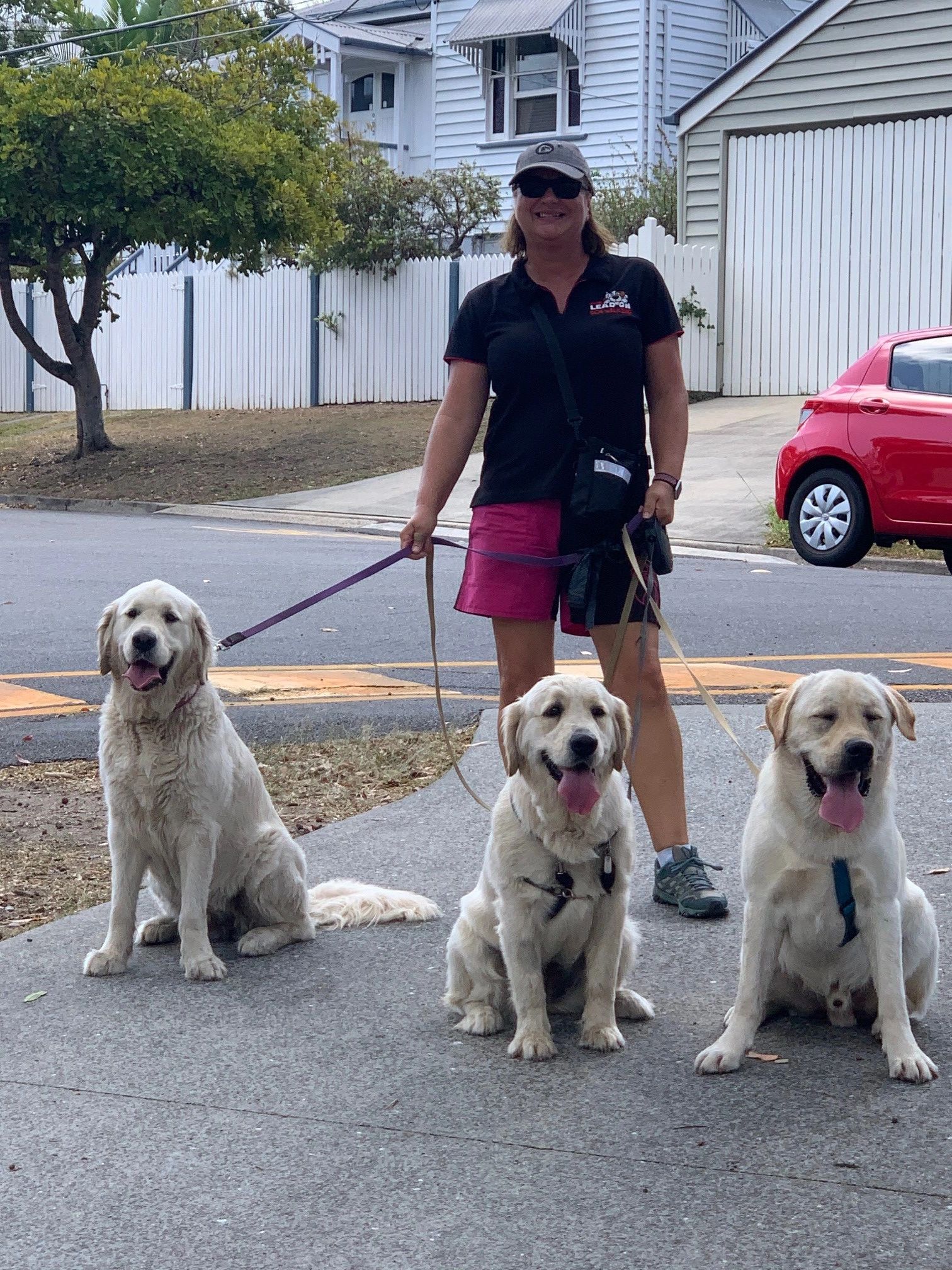 Lead On Dog Walking Dog Walker Brisbane, Queensland